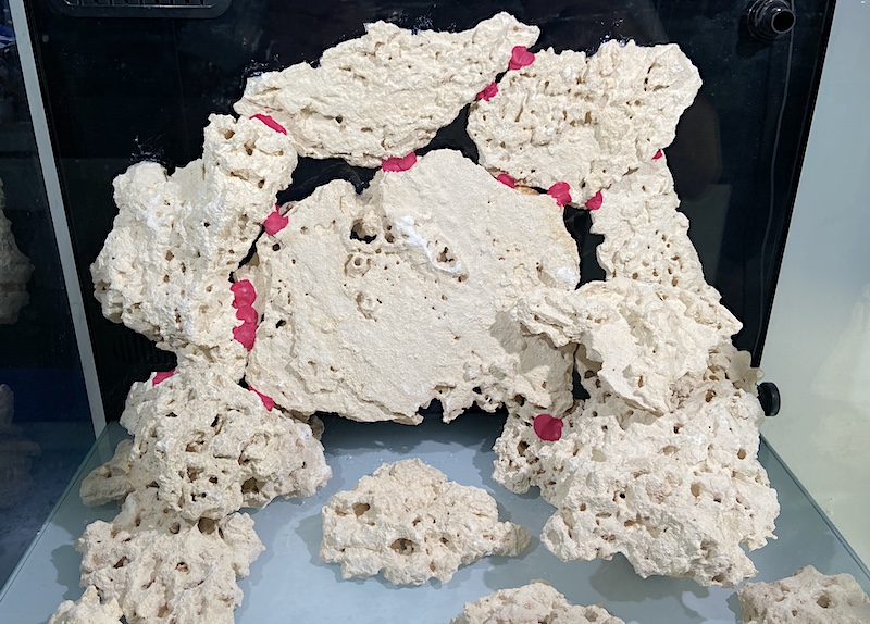 maxspect coral putty 2