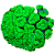 Caulastrea