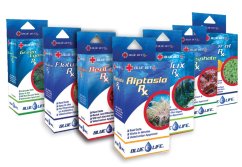 bluevetboxes
