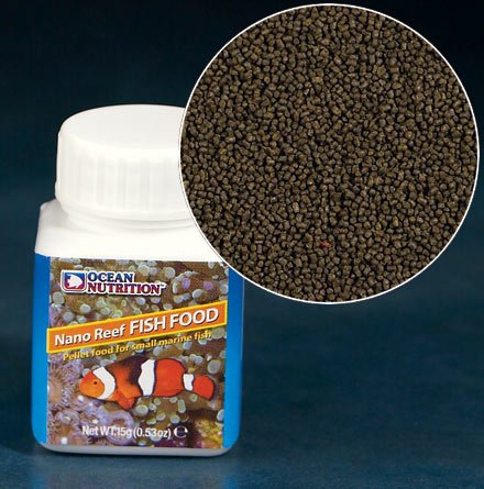 nano food1