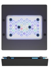 radion 15 Blue