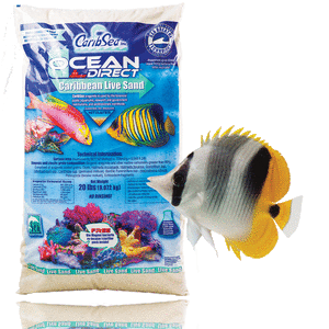 960x960 critter ocean direct
