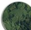 Spirulina super forte 36%