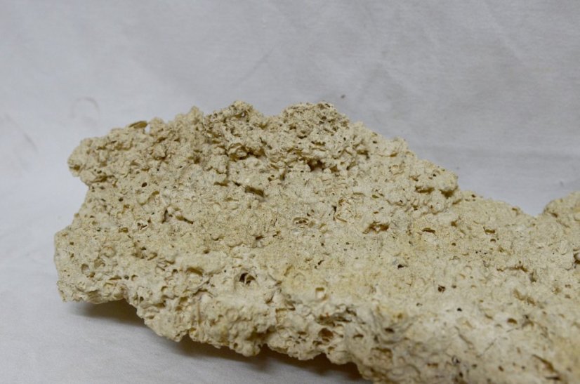 Ceramic Reef Rock Plate