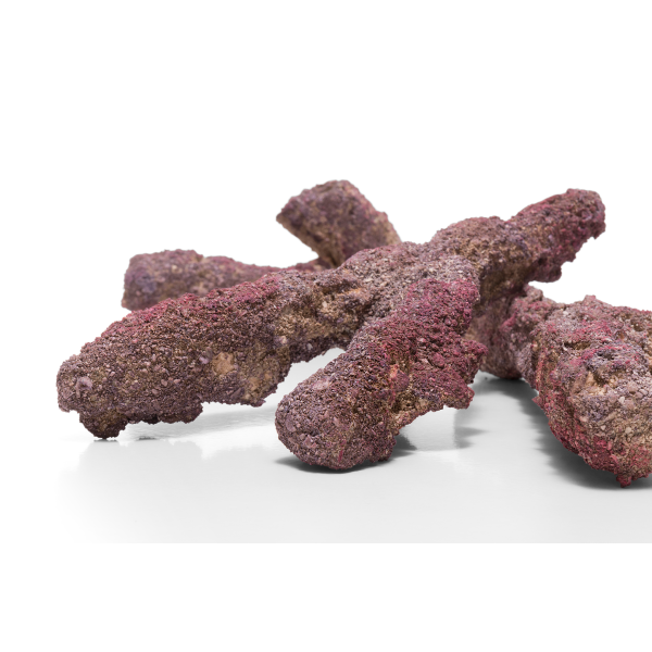 caribsea liferock belize branch 907 kg~7