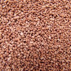 reef pellets 1