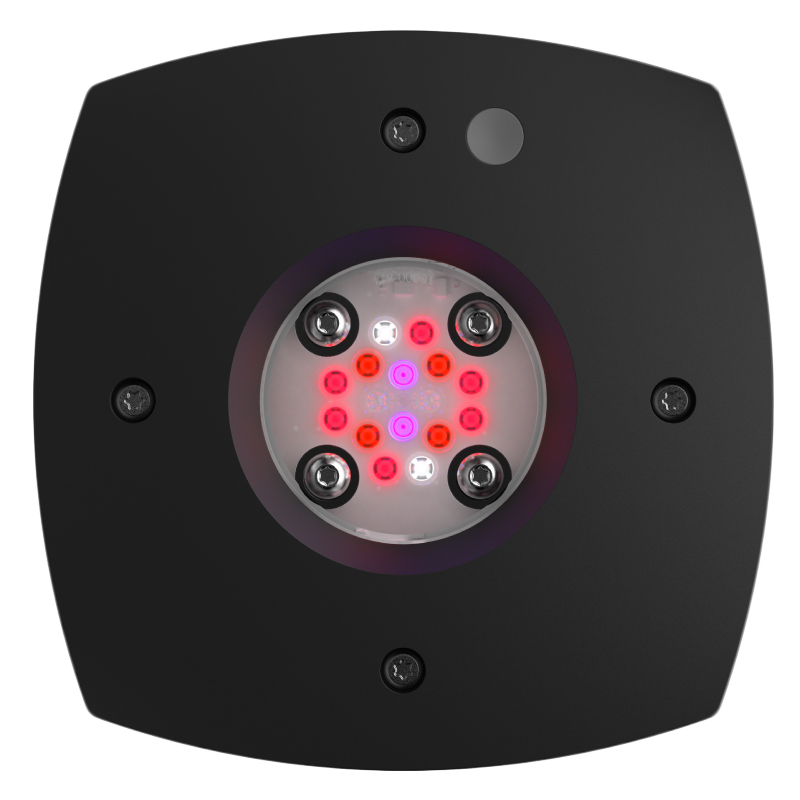 Aqua Illumination Prime Fuge 14-LED Smart osvetlitev za refugij 46W