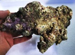 Indonesia Premium Live Rock - živá skala 10 kg