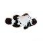 black snowflake clownfish