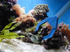 tunze aquarium tongs 1 pc 68404 en