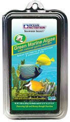 green algae