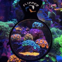 Flipper Viewer magnetische Lupe