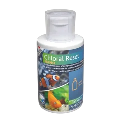 Prodibio Chloral Obnova Nano 100 ml