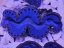 Tridacna maxima ULTRA BLUE č.3