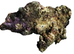 Indonesia Premium Live Rock - živá skala 20 kg