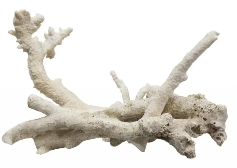 Tonga Branch Rocks přírodní skála