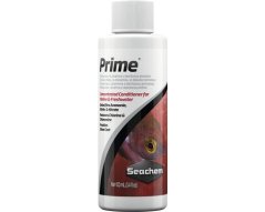 prime 100