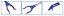 maxs coral gripper banner 3