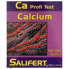 ca 2