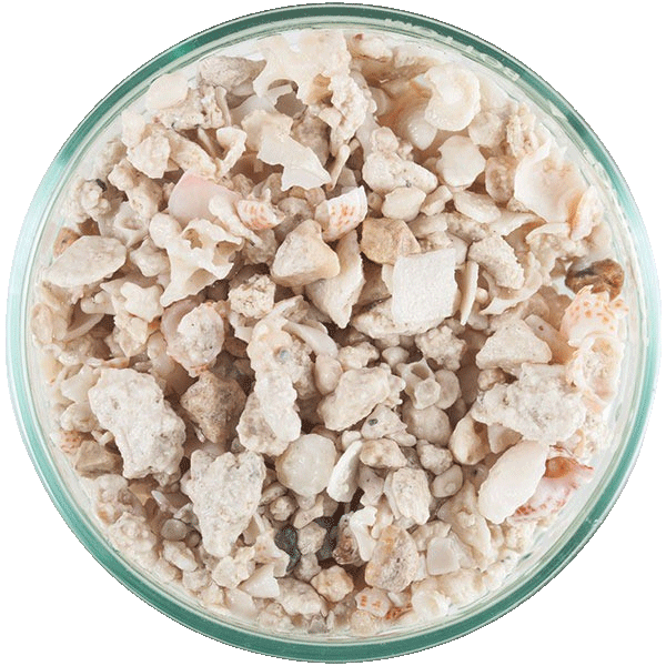 caribsea florida crushed coral 1814 kg