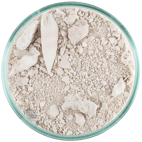 CaribSea Ocean Direct 2,26 kg