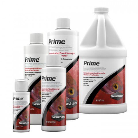 prime family