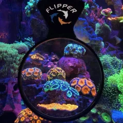 Flipper Viewer mágneses nagyító