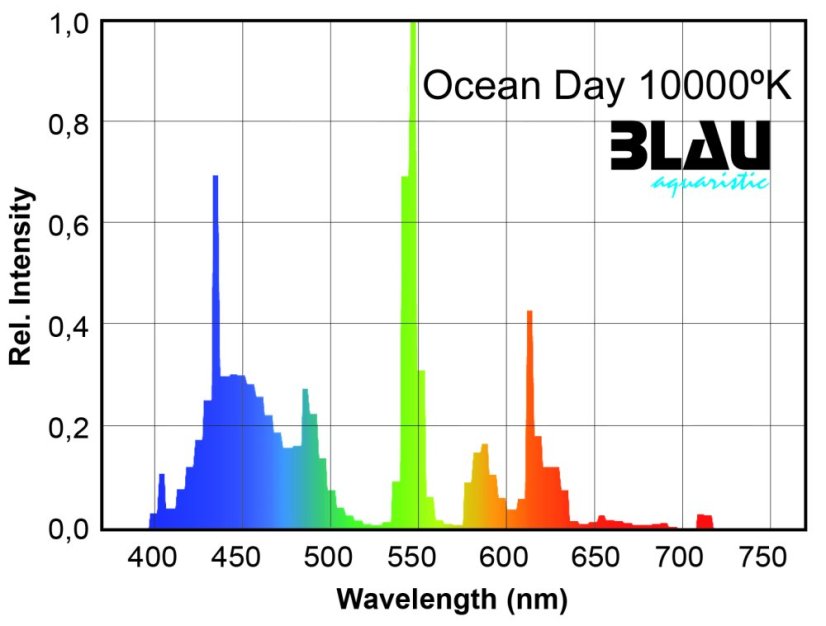 Blau T5 Ocean Day 10000 K