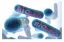 DVH BioGro 123 Marine Set 3x