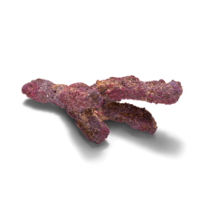 caribsea liferock belize branch 907 kg~2