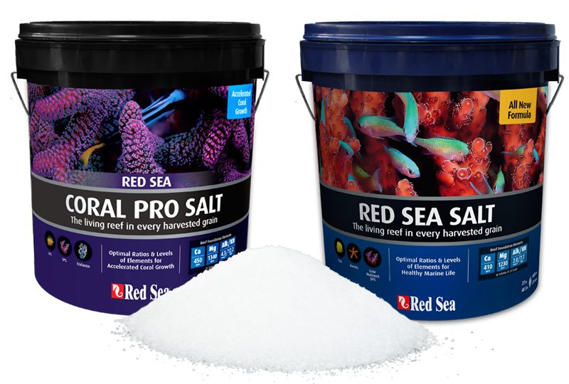 red sea salts new
