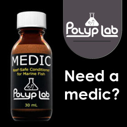 Polyplab Medic Treatment przeciwko pasożytom