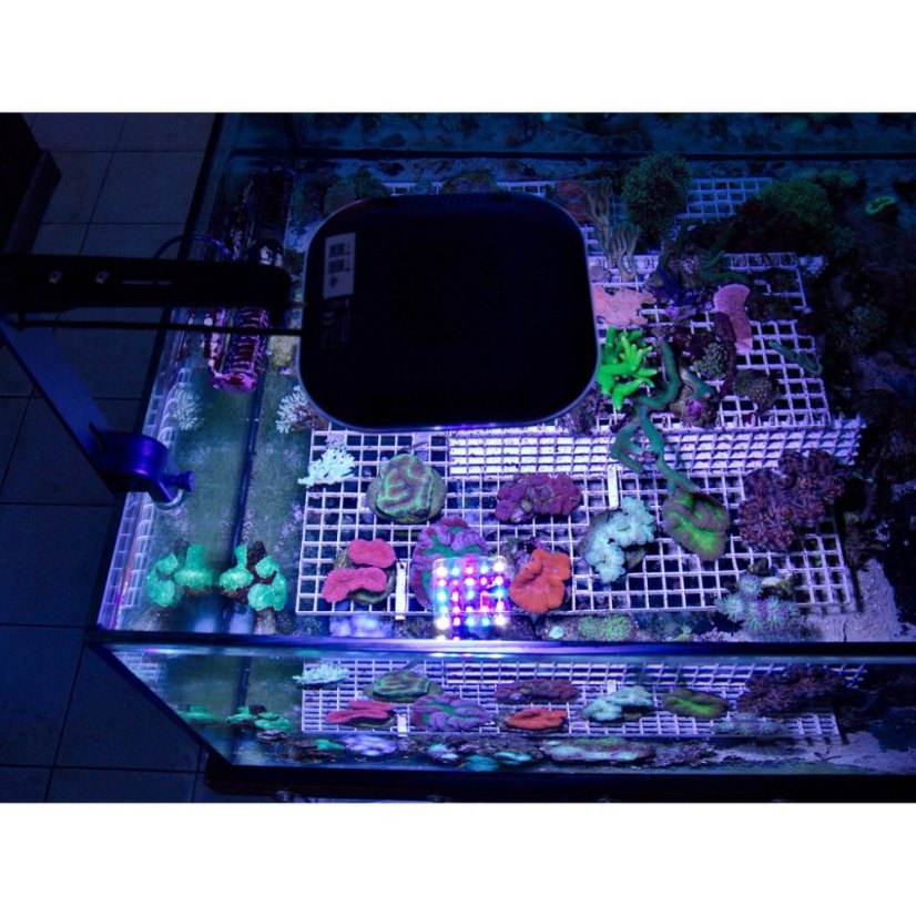 Jecod/Jebao AK-80 wydajne oświetlenie LED