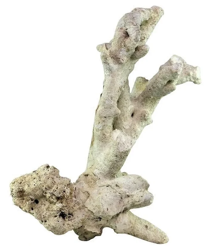 Tonga Branch Rocks přírodní skála
