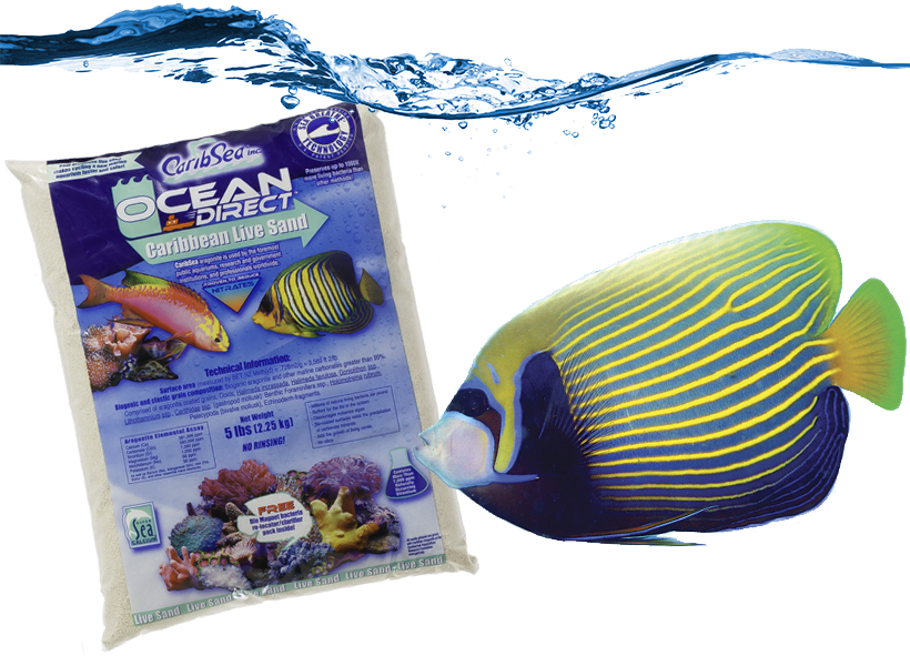 caribsea ocean direct banner