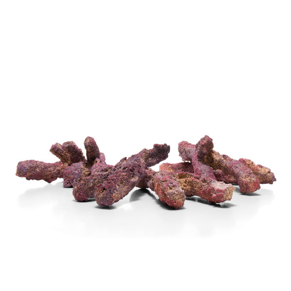 caribsea liferock belize branch 907 kg~9