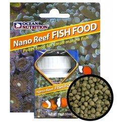nano food