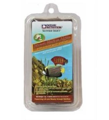 Brown Marine Algae p