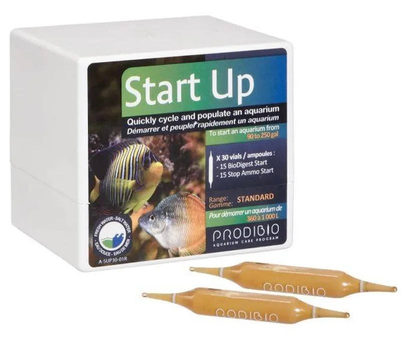 Prodibio Start Up
