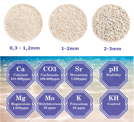 dvh sand elements 2Bpetri