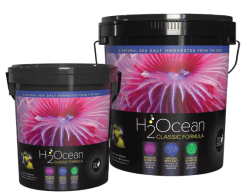 D-D H2Ocean Pro+ Classic Formula Reef Salt 6,6 kg
