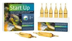 Prodibio Start Up
