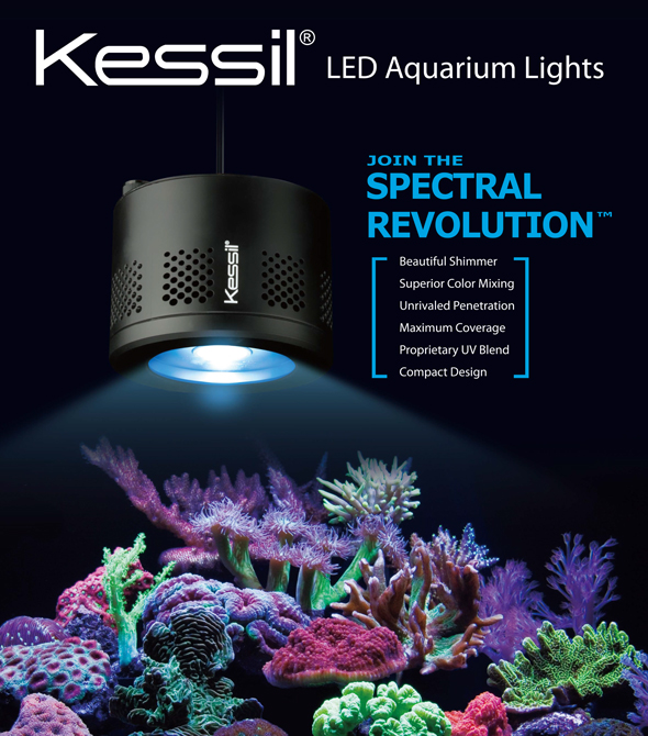 Kessil poster join the spectral revolution