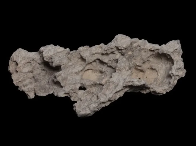 Moonstone stijena za morski akvarij