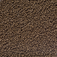 af algae feed m makro zoom