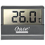 Thermometer