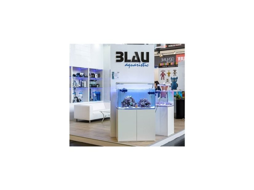 blau interzoo