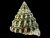 Tectus fenestratus