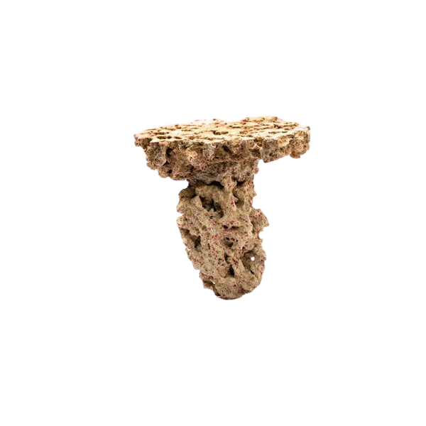 CaribSea Moani Shrooms 9,07 kg