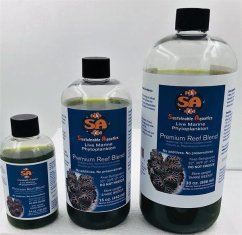 SA Phytoplankton
